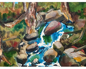 Landscape Original Chris Wakefield Watercolor Painting "Forest Creek"